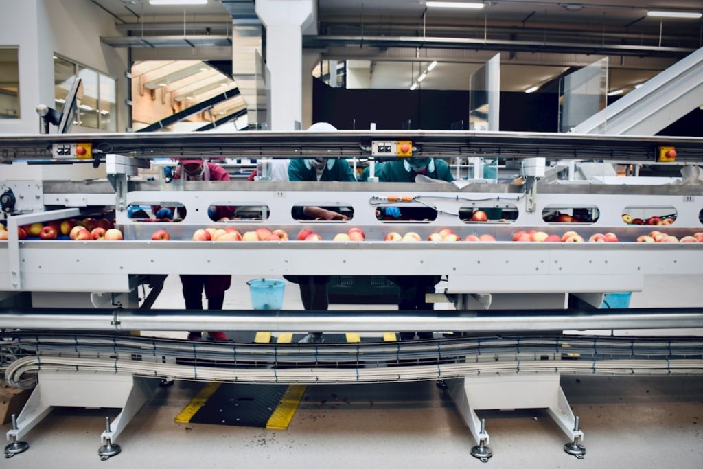 Photo Conveyor belt