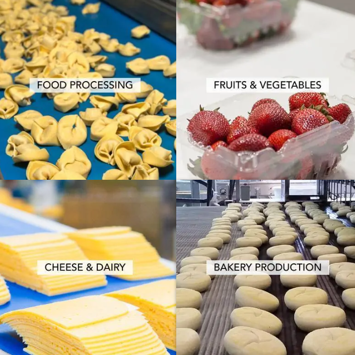 Applying steam cleaning to a conveyor belt, effectively removing oil, grease, and grime in food handling and preparation areas
